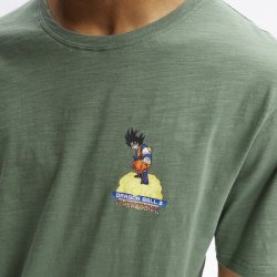 HYDROPONIC DBZ GOKU KINT